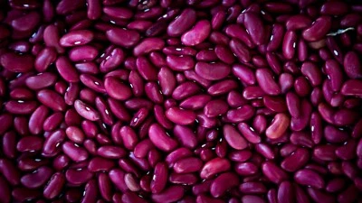 Kidney Bean Seeds Bulk 200+ Chili Bean Red Bean Seed Heirloom  FREE Shipping USA - Image 1 of 4