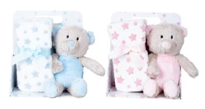 Plüschbär Pink Blau 24cm mit Fleecedecke 90x75cm Stofftier Kuscheltier Geschenk  - Bild 1 von 3