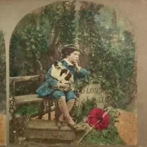 Foto Stereoview Michael Burr Colorata Gira di nuovo Whittington anni 1860 - Foto 1 di 6