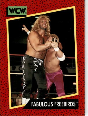 1991 Impel WCW #123 Fabulous Freebirds - Image 1 of 2