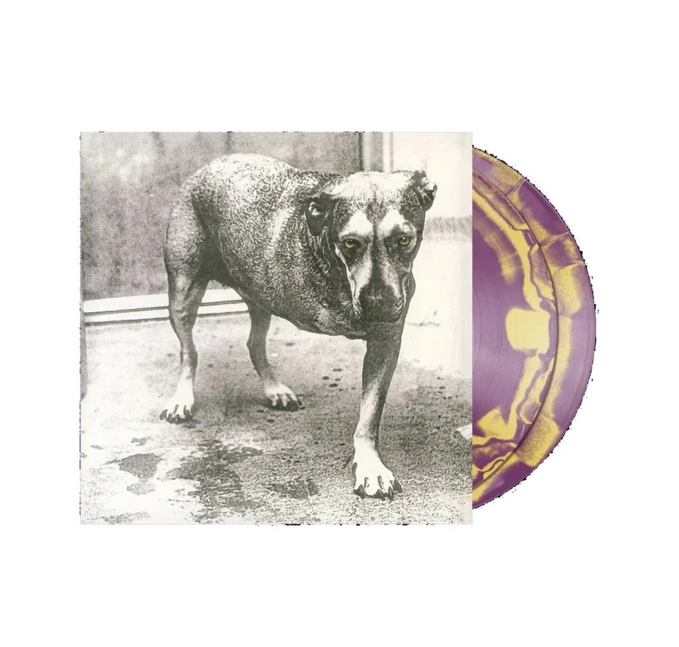 Alice in Chains Purple & Yellow Swirl Self-Titled D2C 30th An Vinyl LP - PRESALE - Image 1 of 1