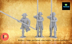 AWI French Command - Picture 1 of 6