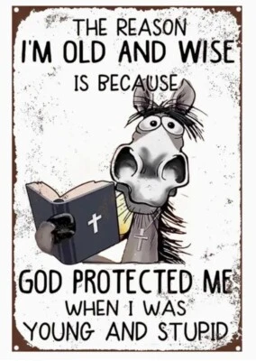 BANGIN' MEATS Old And Wise Aluminum Weatherproof Funny Sign p1295