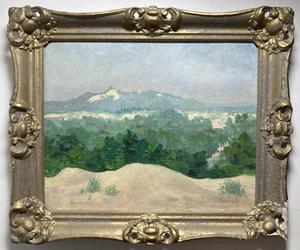 Vintage Original Oil Painting Impressionist Forest Hills Landscape -Signed 1954 - Picture 1 of 20