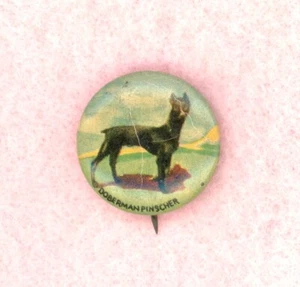 1930 ~ DOBERMAN PINSCHER PERRO ~ GERAGHTY & CO. ~ PINBACK - Imagen 1 de 2