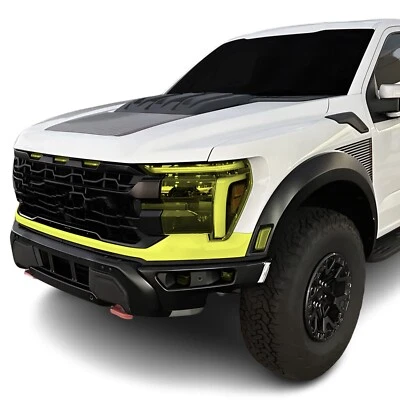 Kit de sujetador transparente de película de protección de pintura precortada PPF para Ford F150 2024+ Foto 1 de 4