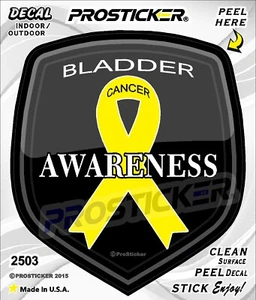 ProSticker 2503 (One) 4" Cancer Awareness Series Bladder Decal Sticker - Picture 1 of 2