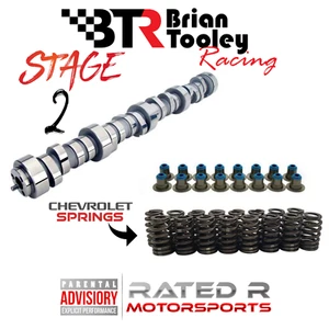 BTR LS Truck 4.8 5.3 6.0 Stage 2 Cam Kit Chevy Springs BTR Cam & Hat Seals - Foto 1 di 7