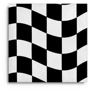 CEG Paper Beverage Napkins, Black & White Check - 2 Packs (650944) - Picture 1 of 1