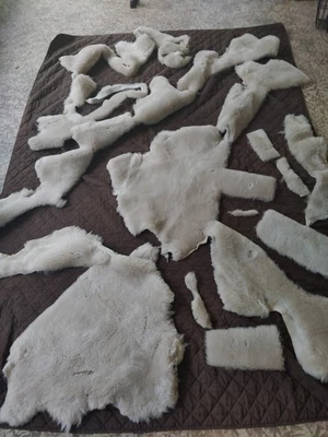 Sheep Skin Lot Scraps Crafting Art Upholstery Sewing Very Soft White Cream - Image 1 of 4