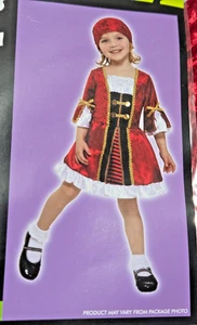 Pirate Girl Halloween Costume 2-4 Years Dress and Bandanna Red Velvet - Picture 1 of 5