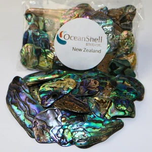 Abalone (Pāua) Muschelstücke - 2,65 Unzen Packung - für Handwerk, Schmuckherstellung, Harzkunst, I - Bild 1 von 12