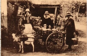 Alte AK Vintage Milchverkäufer aus den Ardennen. Brauchtum Tradition (567) - Bild 1 von 2