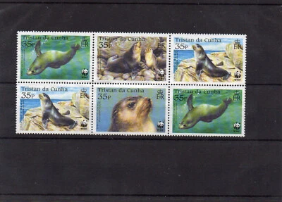 TRISTAN DE CUNHA - Faune : PHOQUES - 2004 Neuf S/Gomme - - Photo 1/2