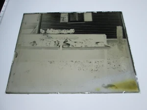 ONE (1) EARLY 1900s GLASS NEGATIVE: MAINE,  "BABY CHICKS". - Picture 1 of 1