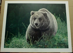 Unrivaled by Charles Frace Wildlife Grizzly Bear Sold Out Hand Signed Brown Bear - Picture 1 of 5
