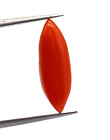 1,46 ct pierre précieuse corail naturel certifié en vrac en forme de marquise couleur orange Italie