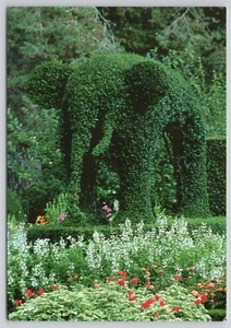 Postcard Elephant Green Animals Corey Lane Portsmouth RI Rhode Island - Picture 1 of 2