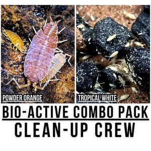 Powder Orange Isopods (15ct) + White Springtails (50ct) | BioActive CleanUp Crew - Picture 1 of 1