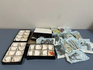 LARGE LOT DENTAL SCHOOL TEMPORARY CROWNS  METAL DENTAL IMPRESSION TRAYS & MODELS - Picture 1 of 11