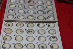 Minerals Rocks Crystals - Specimens - Treasures Of The Earth - DROP DOWN MENU - Foto 1 di 81