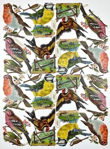Foglio completo vintage fustellato di 24 bellissimi uccellini 12,5 x 9" - Foto 1 di 4