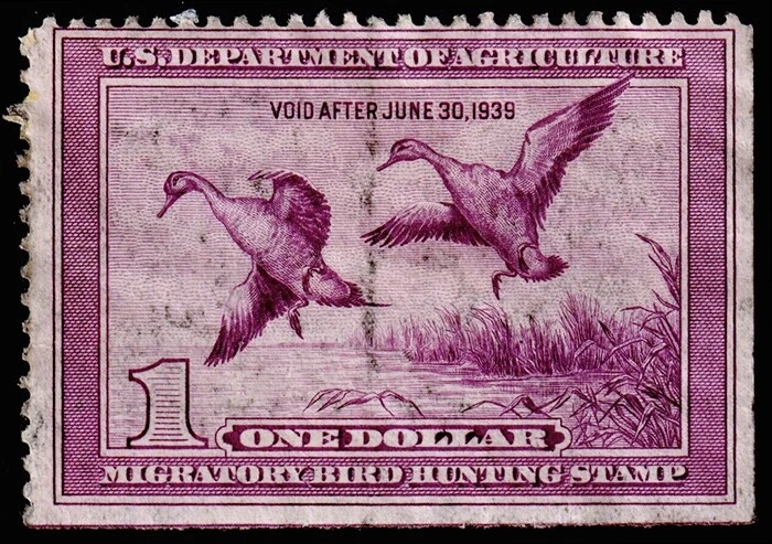 United States Hunting Permit Stamp Scott RW5 (1938) Mint H F-G, CV $200.00 C - Image 1 of 1