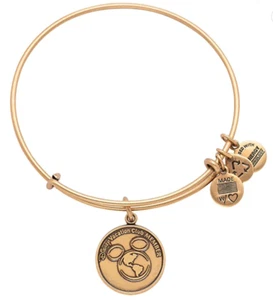 Alex and Ani Disney Vacation Club Member Charm Bangle - Picture 1 of 2