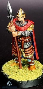 Painted Viking Hearthguard warriors set for SAGA other Wargames miniatures - Picture 1 of 4