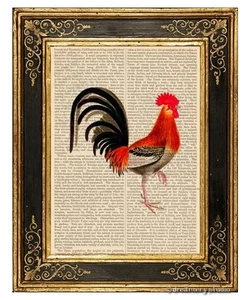 Gallo # 2 Impresión artística en la página del libro vintage Inicio Cocina Decoración colgante Regalos - Imagen 1 de 3