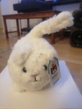 Jellycat Cream Kitten Caboodle Cat Soft Plush Toy Brand New With Tags