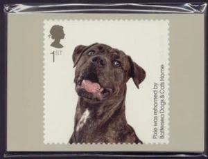 GB 2010 BATTERSEA HUNDE UND KATZEN ZUHAUSE PHQ BRIEFMARKENKARTEN - Bild 1 von 1