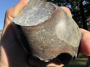 Polierter Dinosaurier Dino GemBone Knochen Jurassic - Bild 1 von 10