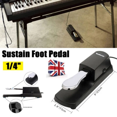 WINHOLDER Universal Sustain Pedal Foot Damper Switch Keyboard for Yamaha Casio Korg Metal