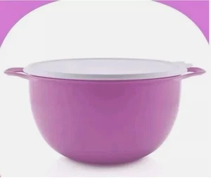 TUPPERWARE Oma Best XXL cuenco MAXIMILIAN 10 L masa de levadura Peng púrpura - Imagen 1 de 1