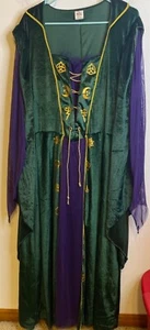 DISNEY HOCUS POCUS Winifred Sanderson Adult Halloween Costume Plus Women SZ. 2X - Picture 1 of 6