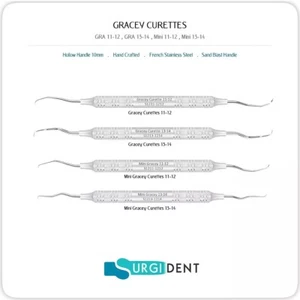GRACEY CURETTES DENTAL INSTRUMENTS HAND TOOLS *SET OF 4* - Picture 1 of 5