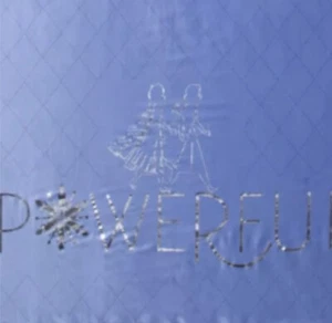 Frozen II 2 Blue Twin / Full Powerful Sisters Blanket Sherpa Reverse Disney New - Picture 1 of 4