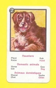 Deutsche Karte - Haustiere - Hund - Bild 1 von 1