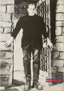 Boris Karloff as Frankenstein’s Monster Vintage 1995 Poster 24 X 34  Photograph  - Picture 1 of 1