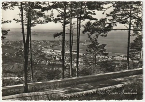 TRIESTE - PANORAMA - VIAGG. 1956 -55109- - Picture 1 of 1
