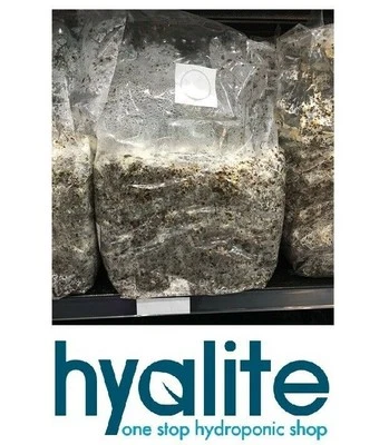 Indoor CO2 Bag Aussie Mushrooms Hydroponics Grow Exhale - image 1 of 4