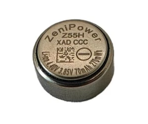 1 X ZeniPower 1254 3.85V for Sony WF1000XM4 Bluetooth Headset Battery Z55H 1Pcs - Imagen 1 de 6