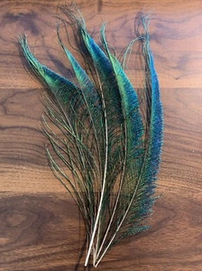 5pcs 35cm Natural Left Sword Peacock Feathers DIY Art Craft Millinery Vase Decor - Picture 1 of 11