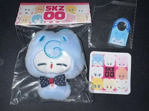 STRAY KIDS FANMADE GOODS PELUCHE BAMBOLA PORTACHIAVI SKZOO WOLFCHAN BANGCHAN - Foto 1 di 2