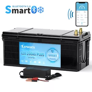 Batería de litio 12V 36V 48V 100Ah/300Ah/200Ah LiFePO4 BMS caravana batería solar - Imagen 1 de 127