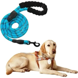 Laisse Corde pour Chien 1,5m Poignée Rembourrée Robuste réfléchissante Bleu - Picture 1 of 13