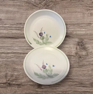 Buchan THISTLEWARE Dinner Plate 10 1/2" - Set of 2 - Picture 1 of 2