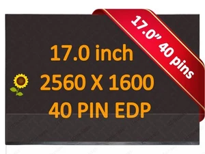 17.0" 240HZ LED LCD SCREEN NE170QDM-NZ2 QHD EDP 40PIN 2560X1600 IPS NON-TOUCH - Picture 1 of 4