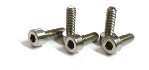 10 x Titan Grade 2 Schrauben / Titanium Grade 2 screws DIN 912 M4 x 20* - Picture 1 of 1